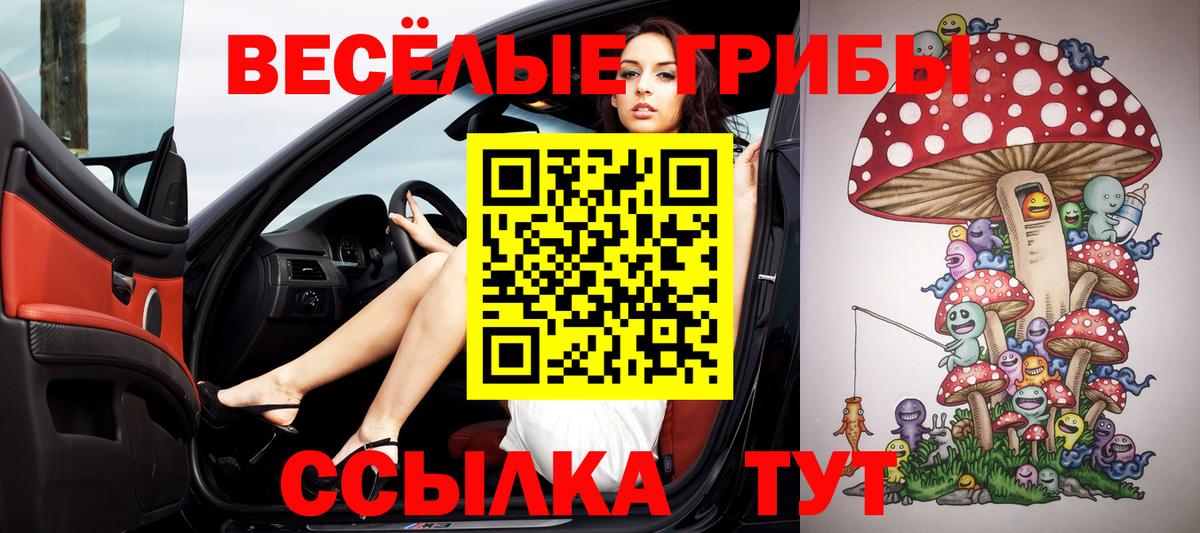 Казань  Псилоцибиновые грибы мицелий  купить   Вход с VPN 